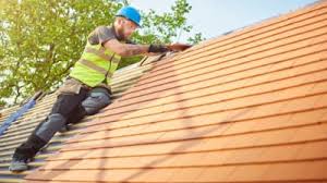 Best Asphalt Shingle Roofing  in Hamtramck, MI