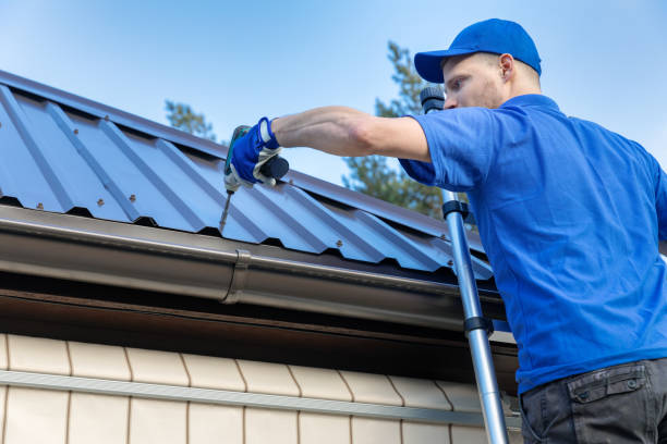 Best Roof Maintenance and Cleaning  in Hamtramck, MI