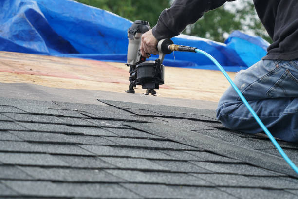 Best Roof Ventilation Installation  in Hamtramck, MI