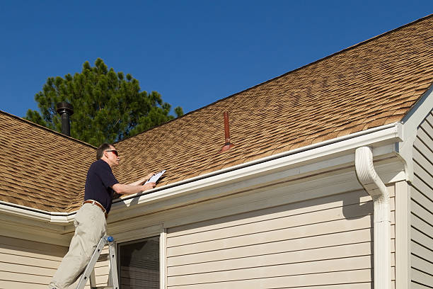 Best Roof Moss and Algae Removal  in Hamtramck, MI